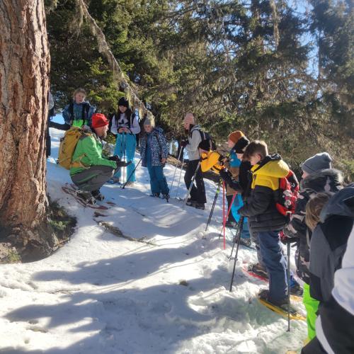 Schneeschuhwanderung