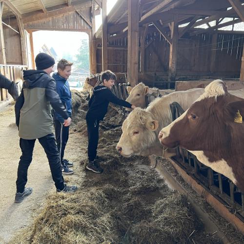 Bauernhof macht Schule 2324