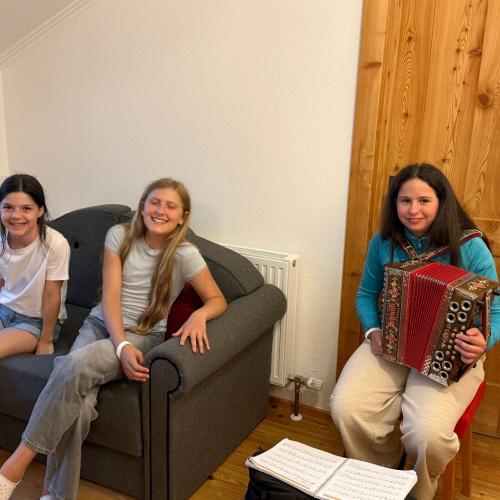 Ziehharmonika 1