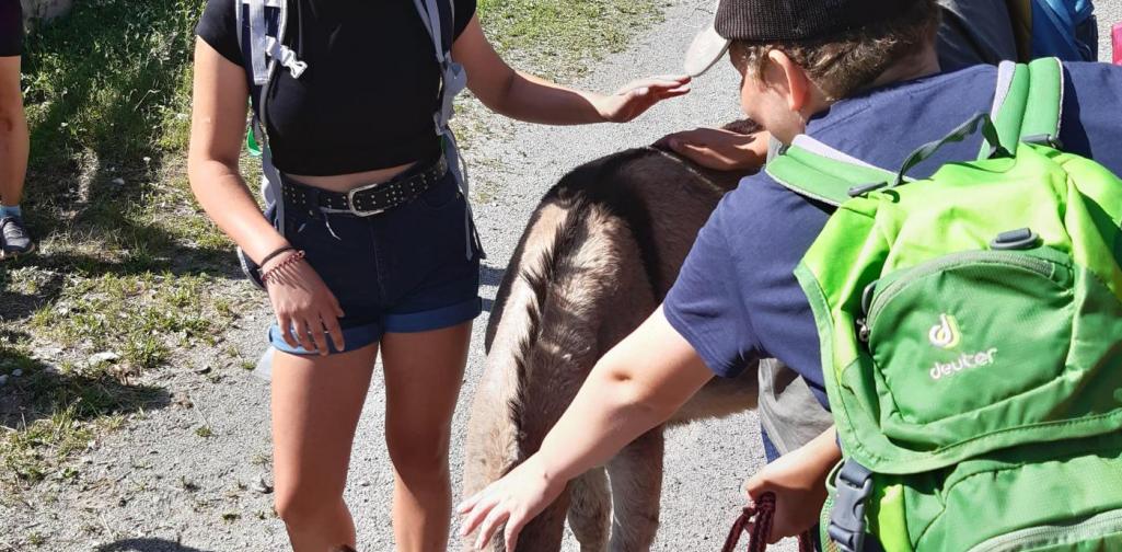 2. Klassen Projekt 02