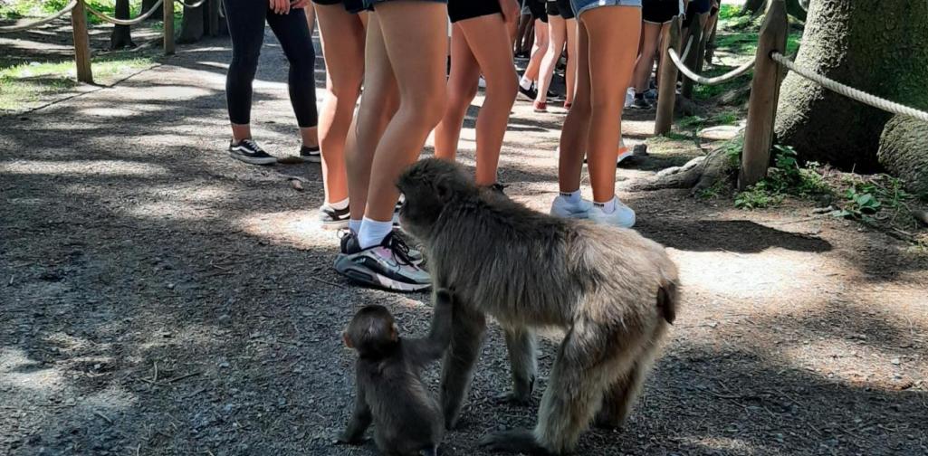 4. Klassen Projekt 04